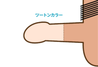 ツートンカラーのイメージ